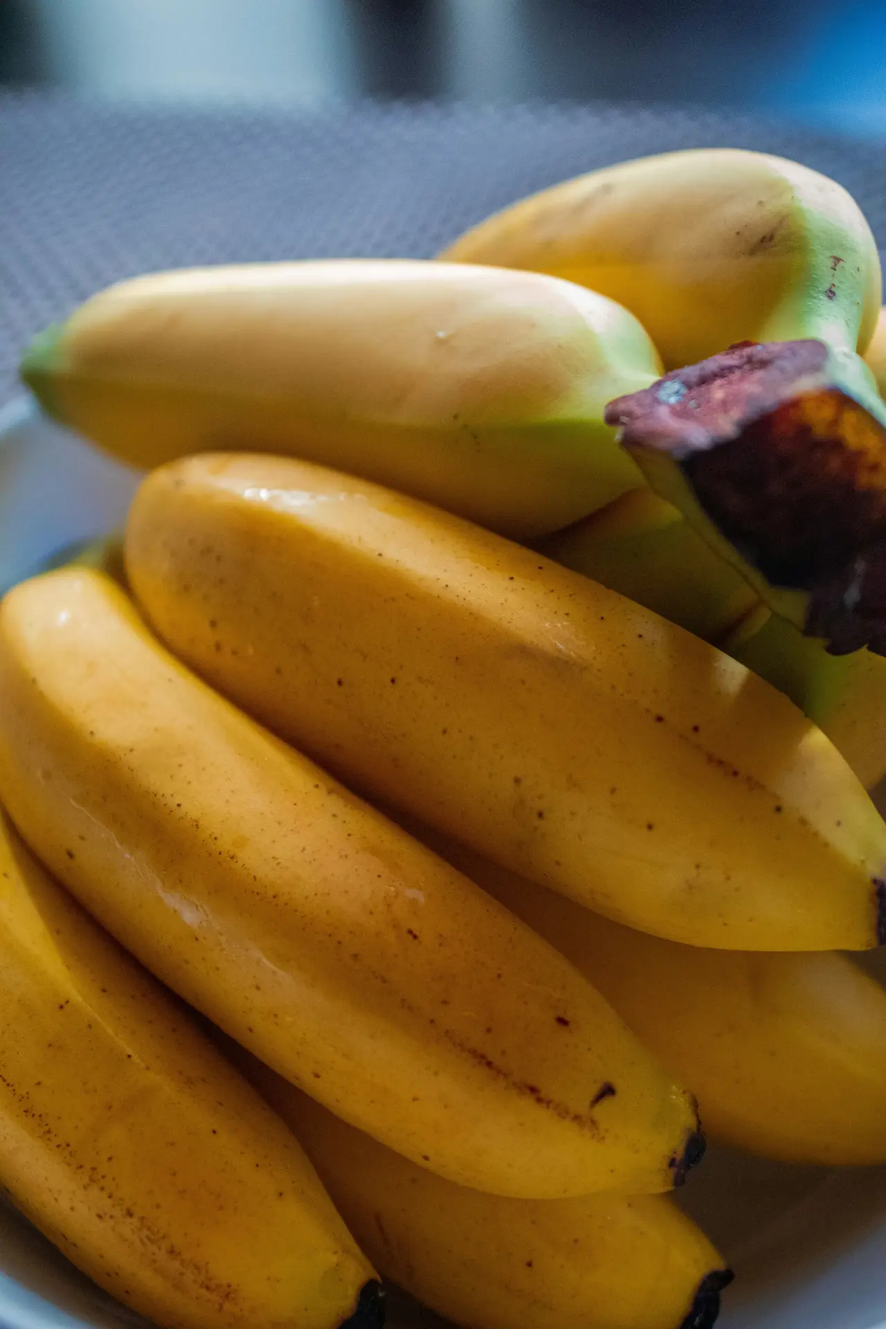 krasimira-H-eN3BIHo3c-unsplash-1