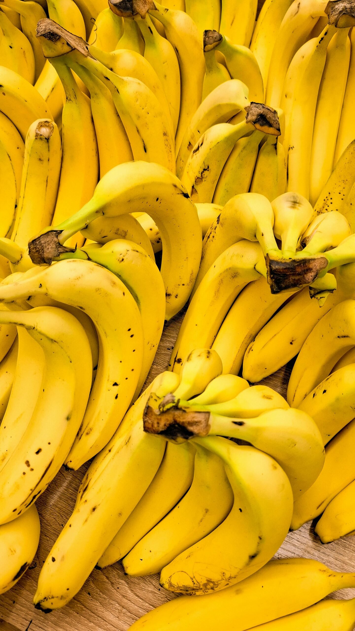 pexels-robber-rb-659106006-30873714