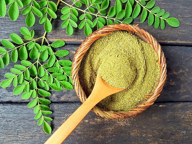 Moringa powder or super food in wooden spoon with moringa fresh leaves